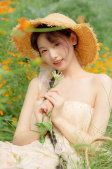 免费在线观看电视