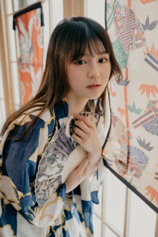 杨思敏全五集在线